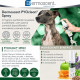 Dermoscent PYOclean Spray, spray dermatologic caini si pisici, 50 ml
